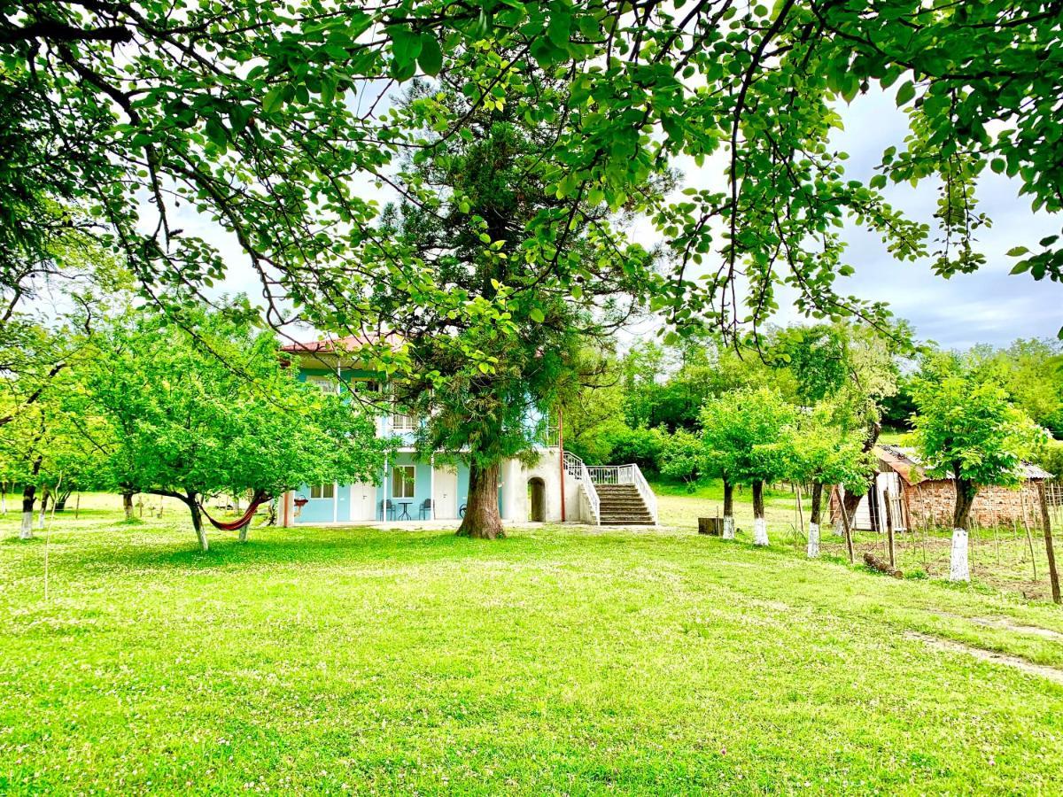 Martv'Elle Boutique Guesthouse Martvili Exteriér fotografie