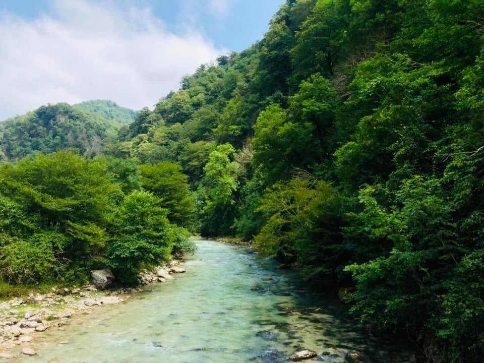 Martv'Elle Boutique Guesthouse Martvili Exteriér fotografie