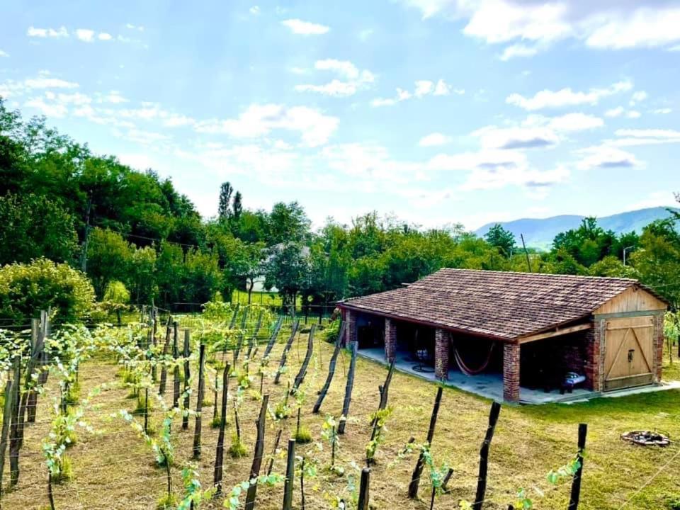 Martv'Elle Boutique Guesthouse Martvili Exteriér fotografie